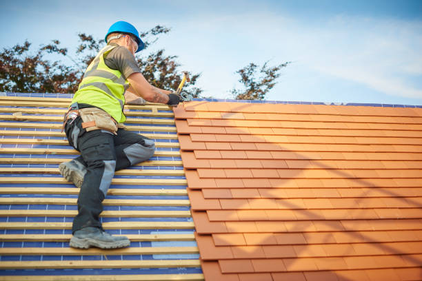 Best Chimney Flashing Repair  in South Congaree, SC